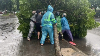Hà Nội: Tập trung ứng trực 100% nhân lực, thiết bị phục vụ phòng, chống bão