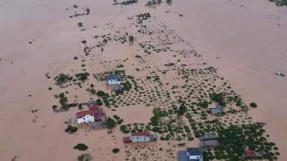 Khẩn trương đánh giá thiệt hại, hỗ trợ người dân khôi phục sản xuất sau mưa bão