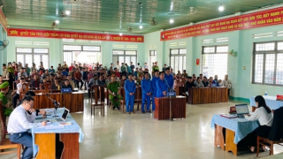 Xét xử vụ án hủy hoại rừng mà Báo CAND phản ánh