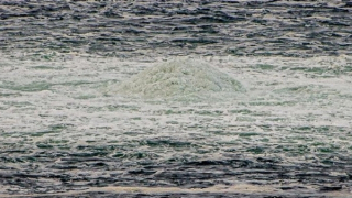 Một vụ nổ, nhiều cáo buộc và vô vàn nguy cơ