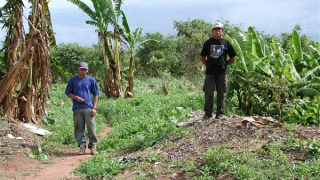 Bật mí cách tạo đất đen của người dân vùng Amazon