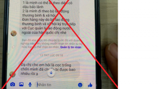 Khuyến cáo người lao động cảnh giác thông tin giả mạo đi làm việc ở Hàn Quốc