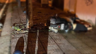 Hai sinh viên thương vong khi lao xe vào gốc cây trên vỉa hè