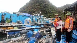 Quảng Ninh dành 1.000 tỷ đồng từ ngân sách địa phương cho khắc phục hậu quả bão