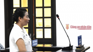 Chiếm đoạt trên 2,5 tỷ đồng, chủ hụi ở Bạc Liêu lĩnh 10 năm tù