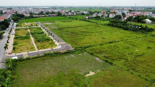 Đầu cơ đấu giá gây hỗn loạn thị trường nhà đất