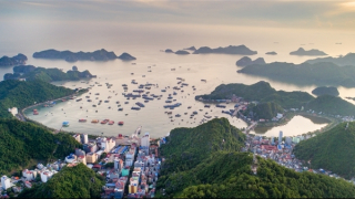 Mô hình đảo sinh thái không khí thải đầu tiên của Việt Nam