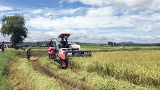 Phát triển kinh tế gắn với bảo đảm an ninh buôn làng  (Kỳ cuối)