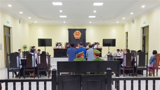 Hai cha con lĩnh án tù vì lừa đảo chiếm đoạt tài sản