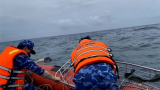 Đã tìm thấy một trong hai ngư dân tàu cá gặp nạn, mất tích trên biển