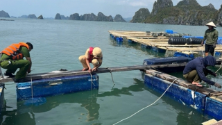 Nghìn tỷ trôi sông, đổ biển (Bài 1)