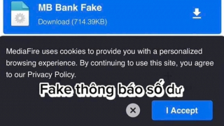 Dùng app giả lừa giao dịch trực tuyến