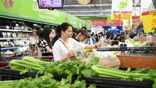 Lũ rút nhiều ngày, vì sao giá rau xanh tại Hà Nội vẫn “đắt hơn cá, thịt”?