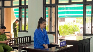 9 năm tù dành cho chủ sạp trái cây từng lừa chiếm hơn 3,2 tỷ đồng