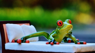 Giương mắt ếch