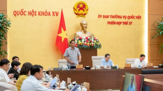 Kiên quyết xử lý vi phạm về giao thông, trọng tâm là nồng độ cồn, quá tải trọng