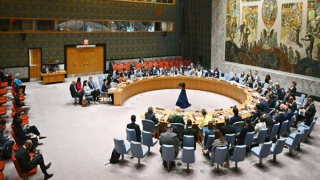 Liên hợp quốc và câu chuyện cải tổ