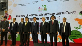 Khai mạc Lễ hội trái cây Việt Nam lần thứ nhất tại Trung Quốc