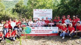 Dai-ichi Life Việt Nam phát động trồng 10.000 cây lim xanh tại Rừng Phòng hộ Phú Ninh, Quảng Nam