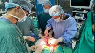 Sụt cân bất thường, cô gái trẻ mắc khối u thận khổng lồ