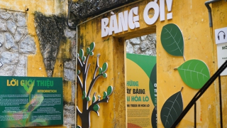 “Kể chuyện” về cây bàng trong Nhà tù Hoả Lò và những người cộng sản kiên trung