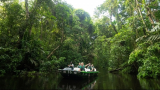 Costa Rica, từ thiên đường du lịch trở thành trung tâm “logistics” ma túy