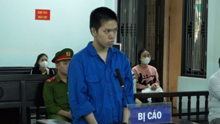 Làm giả giấy giải ngân lừa đảo 200 người