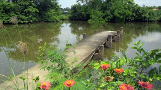 Trong, đục ao làng...