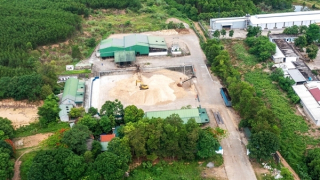 Bài cuối: Chính quyền có làm ngơ để các cơ sở băm gỗ dăm trái phép hoạt động?