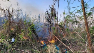 Quảng Ninh, Hải Phòng tiềm ẩn nguy cơ cháy rừng sau bão số 3