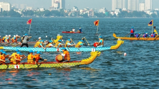 Gần 800 huấn luyện viên, vận động viên dự Giải Bơi chải Thuyền rồng Hà Nội 2024