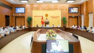 Tình trạng "bỏ cọc" sau khi trúng đấu giá tái diễn, tác động tiêu cực đến mặt bằng giá và thị trường nhà ở