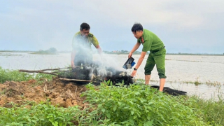 Khó xử lý triệt để nạn tận diệt chim trời tại nơi có vùng đầm phá lớn nhất Đông Nam Á, vì sao?