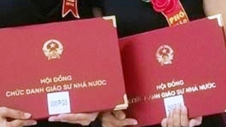 582 ứng viên được đề nghị xét công nhận đạt chuẩn GS, PGS năm 2024