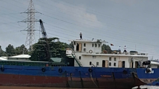 Tàu thủy vi phạm khoảng cách an toàn khiến 38 nghìn hộ dân bị mất điện