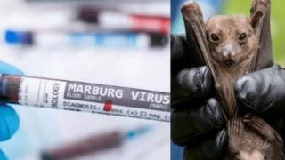 Tăng cường kiểm dịch, ngăn chặn ca bệnh Marburg từ cửa khẩu