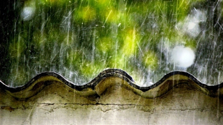 Bắc Bộ sáng sương mù nhẹ, vùng núi có nơi mưa dông