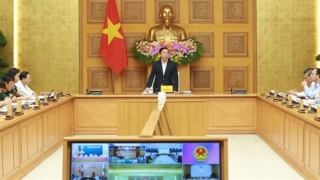 Bao giờ thì Luật Đất đai đi vào cuộc sống?