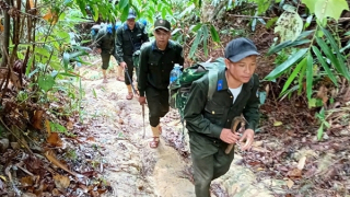Tăng cường công tác quản lý, bảo vệ rừng tại huyện miền núi Nam Giang