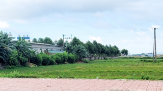 Hà Tĩnh “đỏ mắt” tìm nhà đầu tư dự án 70 tỷ đồng