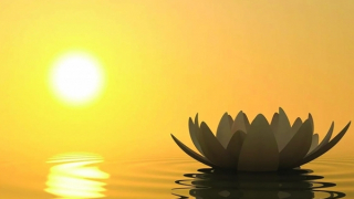 Dành "đất" cho điều lành