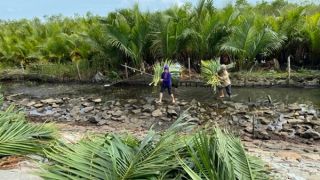 Giảm khai thác rừng và săn bắt động vật hoang dã trái phép ở Thừa Thiên Huế