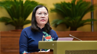 Hoàn thiện pháp luật nhằm xử lý hiệu quả hơn tội phạm mua bán người