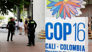 Nhiều kỳ vọng với hội nghị COP16 tại Colombia