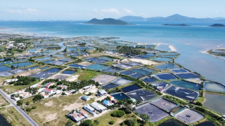 Khánh Hòa đặt nhiều kỳ vọng vào dự án Cảng hàng không quốc tế Vân Phong, vì sao?