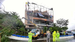 Đà Nẵng: Hàng chục ngôi nhà tốc mái, hơn 900 cây xanh bị ngã, đổ do bão số 6