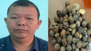 Buôn lậu 17 tấn dược liệu qua biên giới