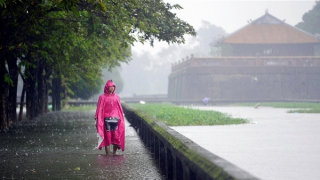 Bão số 6 suy yếu thành vùng áp thấp, miền Trung vẫn mưa to nhiều nơi