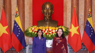 Phó Chủ tịch nước Võ Thị Ánh Xuân hội đàm với Phó Tổng thống thường trực Venezuela​