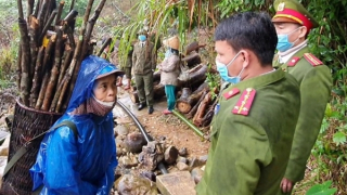 15 người dân bị mắc kẹt trong rừng trở về nhà an toàn sau bão số 6